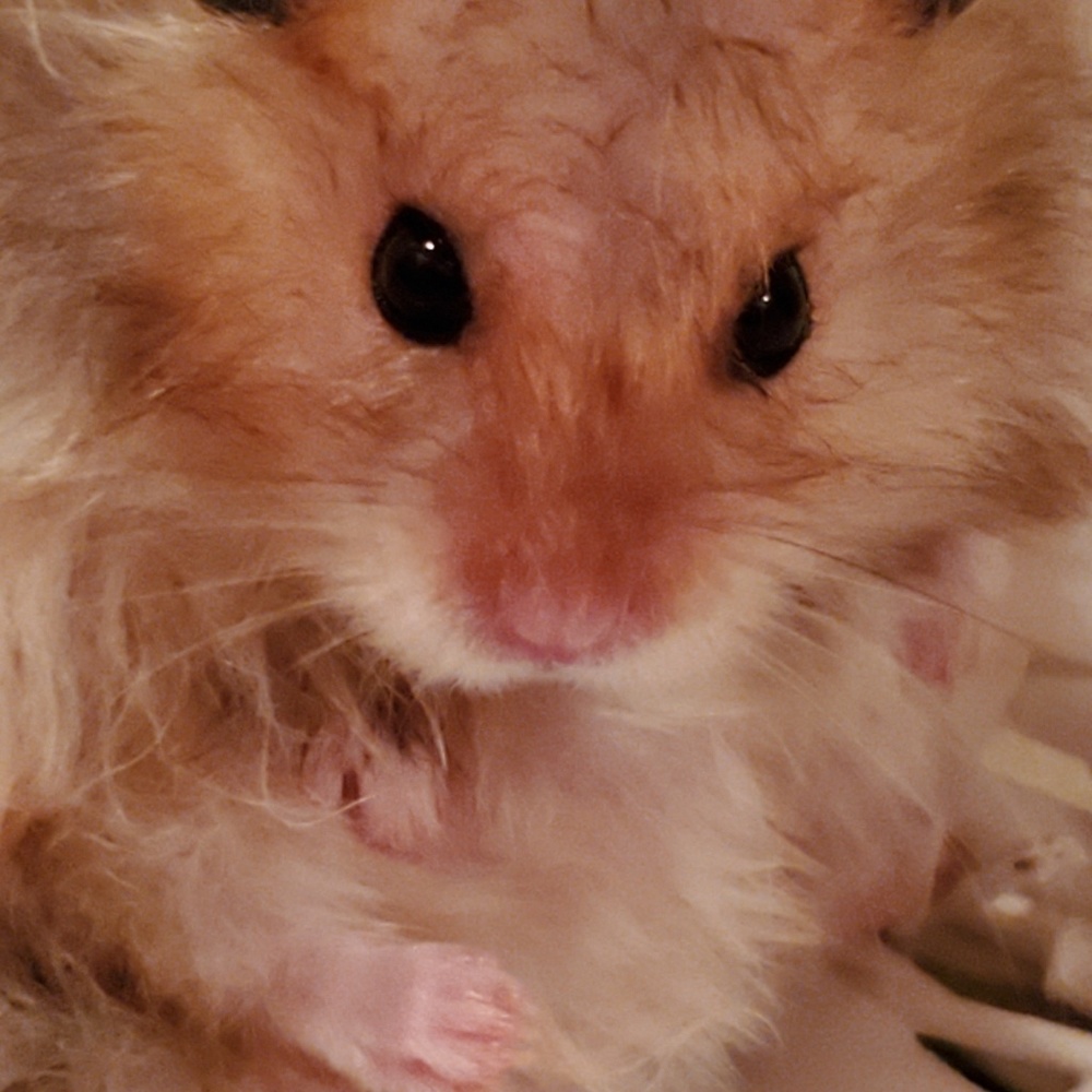 Meet your Posher, Sharon
